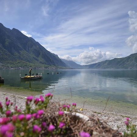 Apartments Goran Kotor Dış mekan fotoğraf