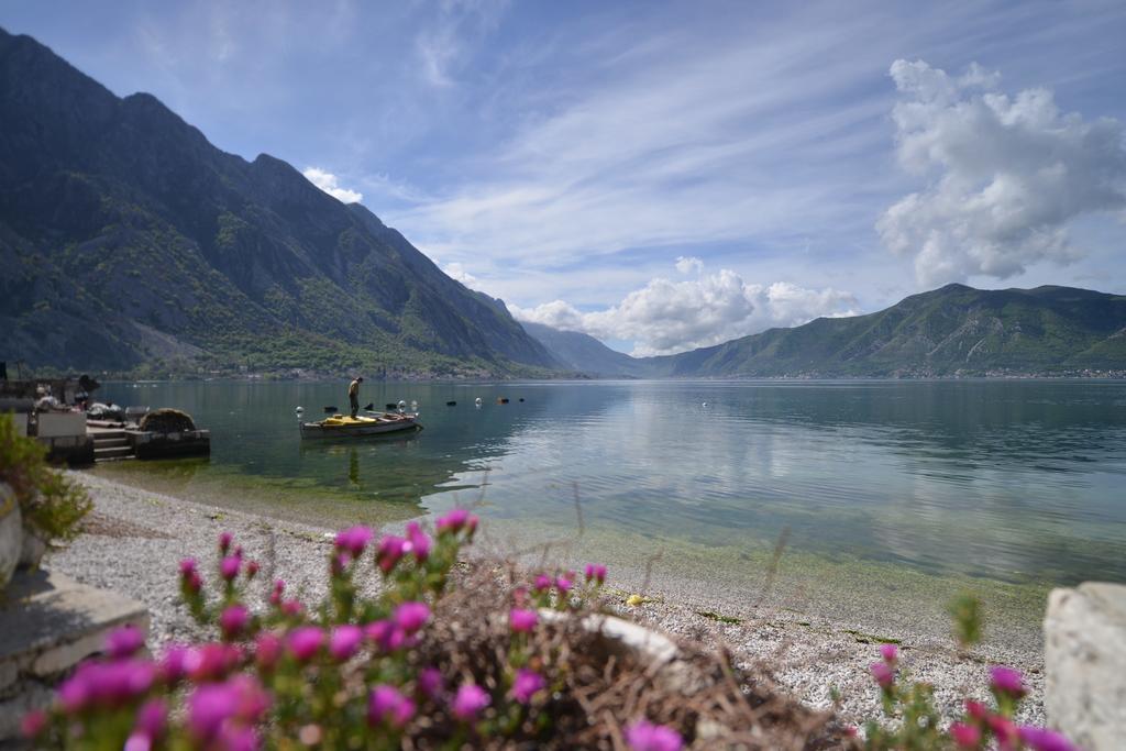Apartments Goran Kotor Dış mekan fotoğraf